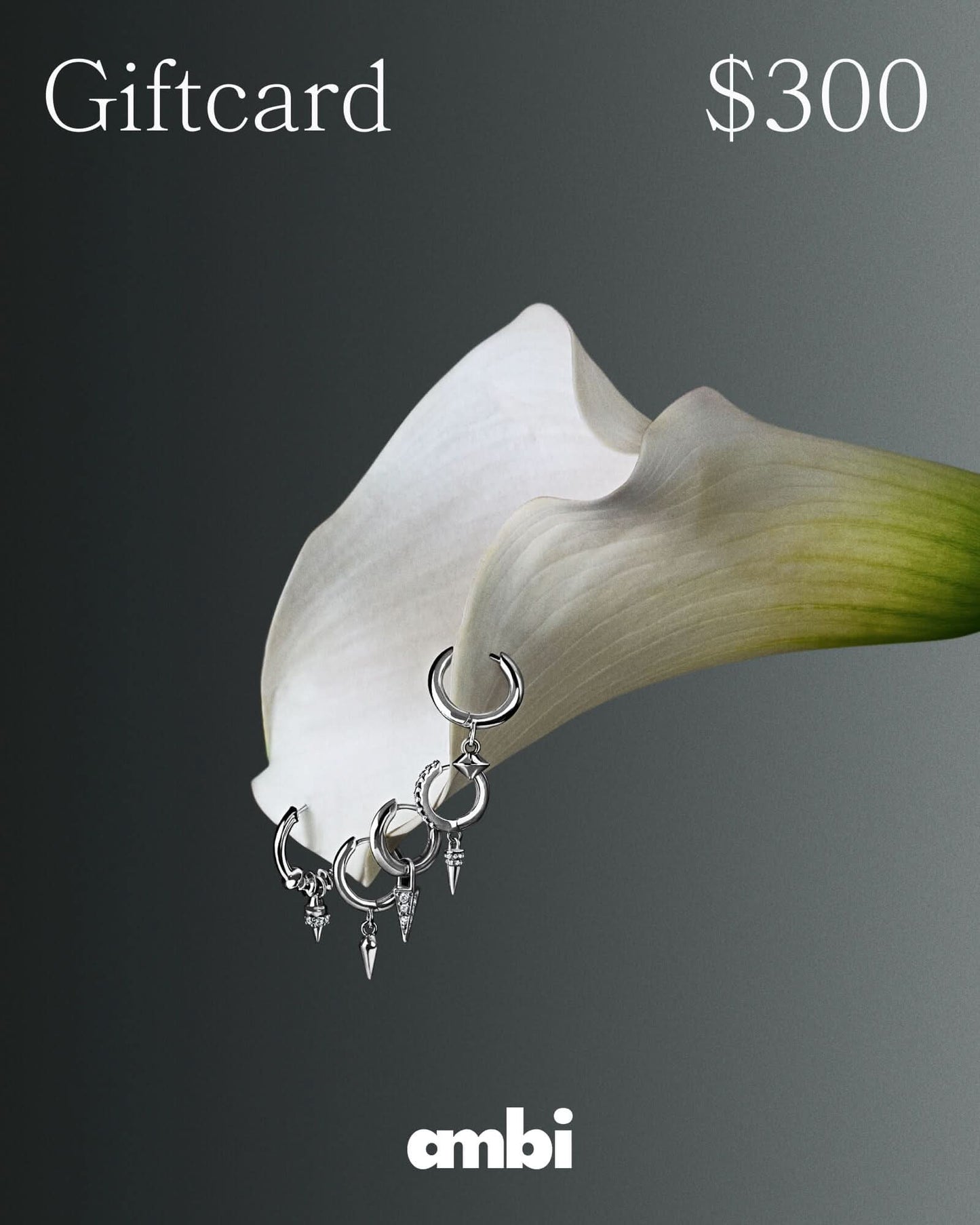 Ambi E-Gift Card - ambi Jewelry