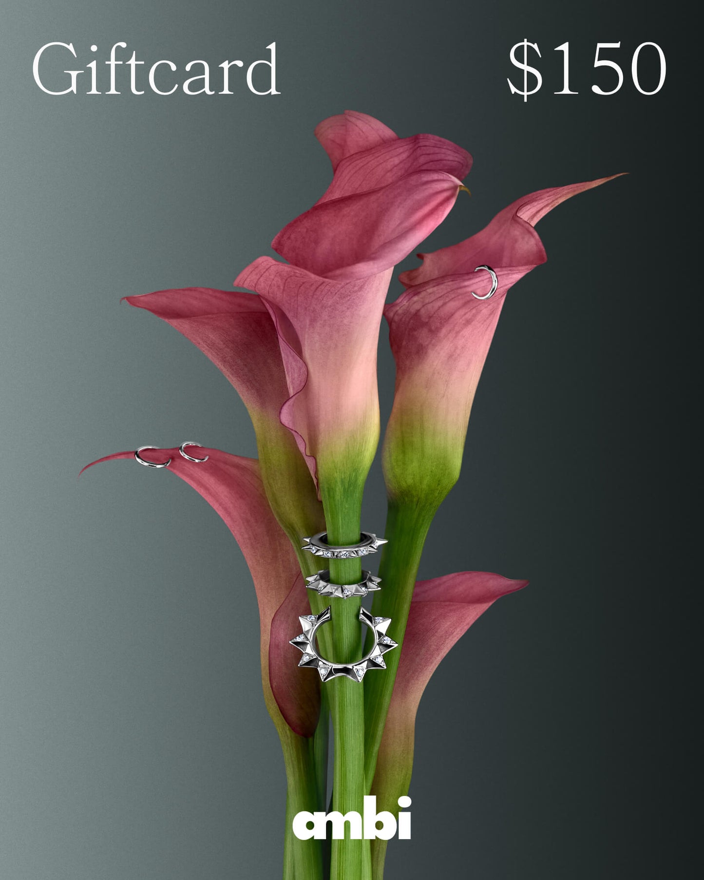 Ambi E-Gift Card - ambi Jewelry