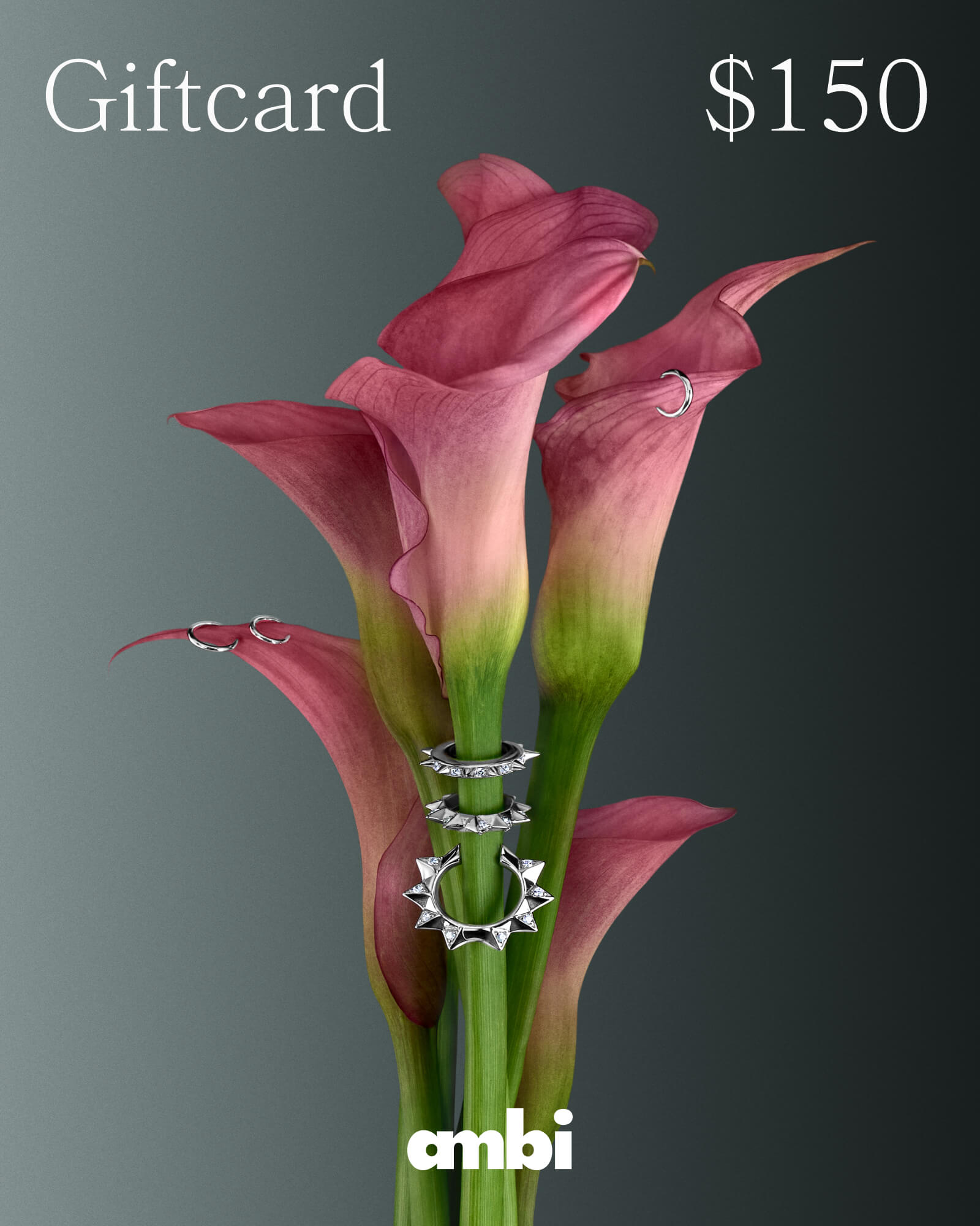 Ambi E-Gift Card - ambi Jewelry