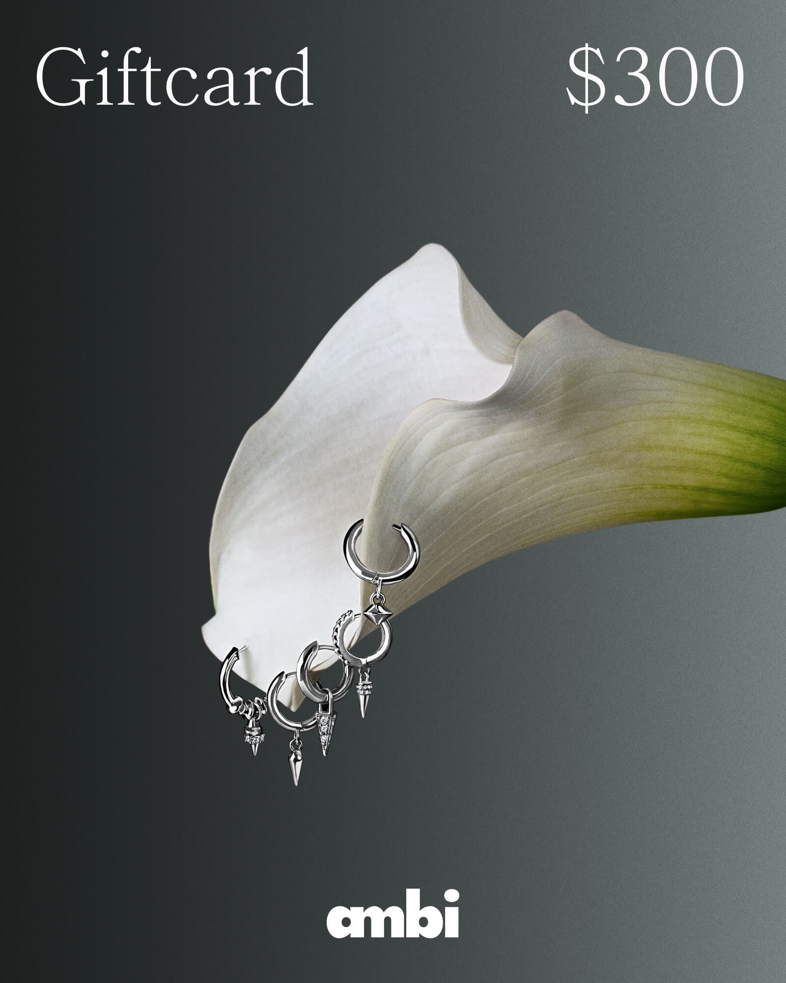 Ambi E-Gift Card - ambi Jewelry